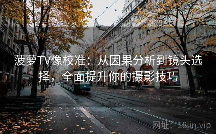 菠萝TV像校准:从因果分析到镜头选择,全面提升你的摄影技巧 菠萝TV像校准:从因果分析到镜头选择,全面提升你的摄影技巧