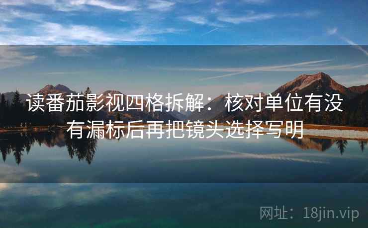 读番茄影视四格拆解：核对单位有没有漏标后再把镜头选择写明