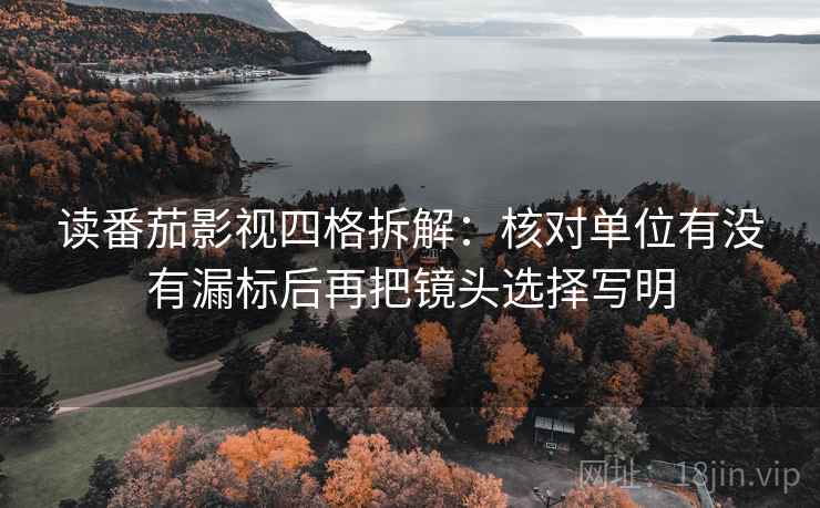 读番茄影视四格拆解：核对单位有没有漏标后再把镜头选择写明